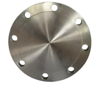 Ti Alloy Grade 1 Blind Flanges