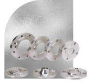 Duplex or Super Duplex Flanges