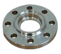 SS 317/317L Forged Flanges