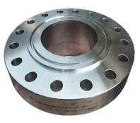 Alloy 20 Ring Type Joint Flange