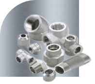 Duplex or Super Duplex Forged Fittings