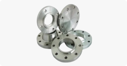 SS 309/310/310S Flanges