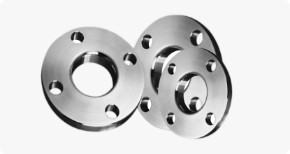 SS 317/317L Flanges