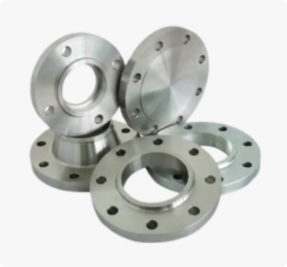 SS 309/310/310S Flanges