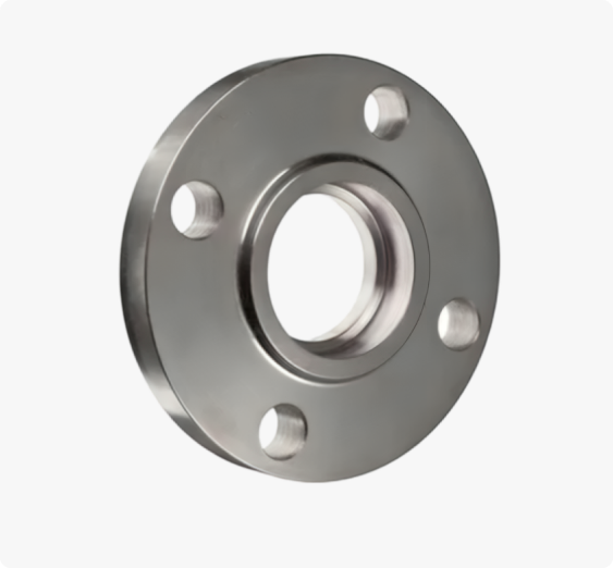 SS 316/316L/316Ti Flanges