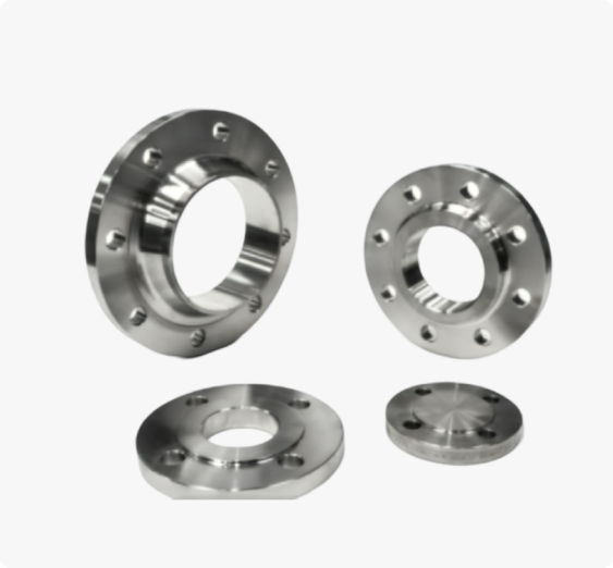 SS 321/321H Flanges