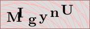 Captcha verification image