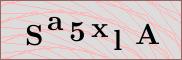 Captcha verification image