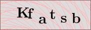 Captcha verification image
