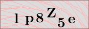 Captcha verification image
