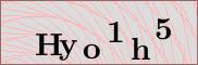 Captcha verification image